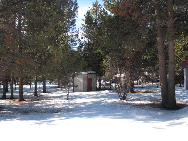 Tall Pines - Residential