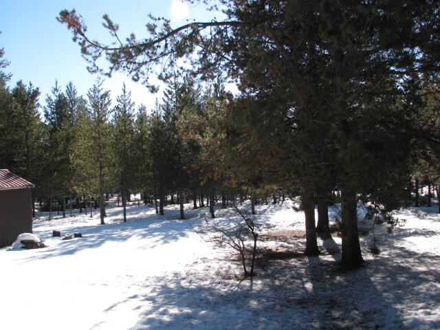 Tall Pines - Residential