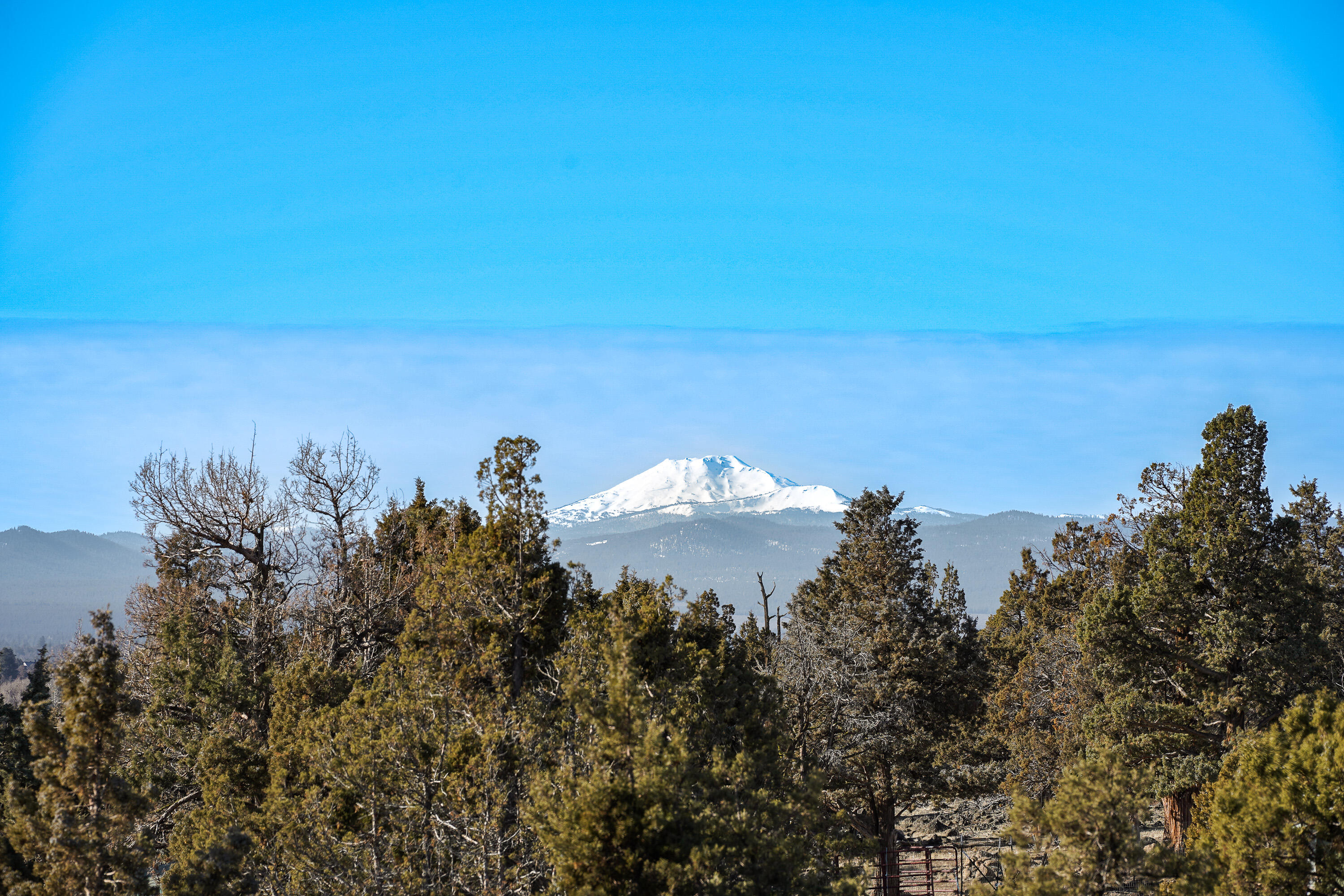 Whispering Pines - Residential