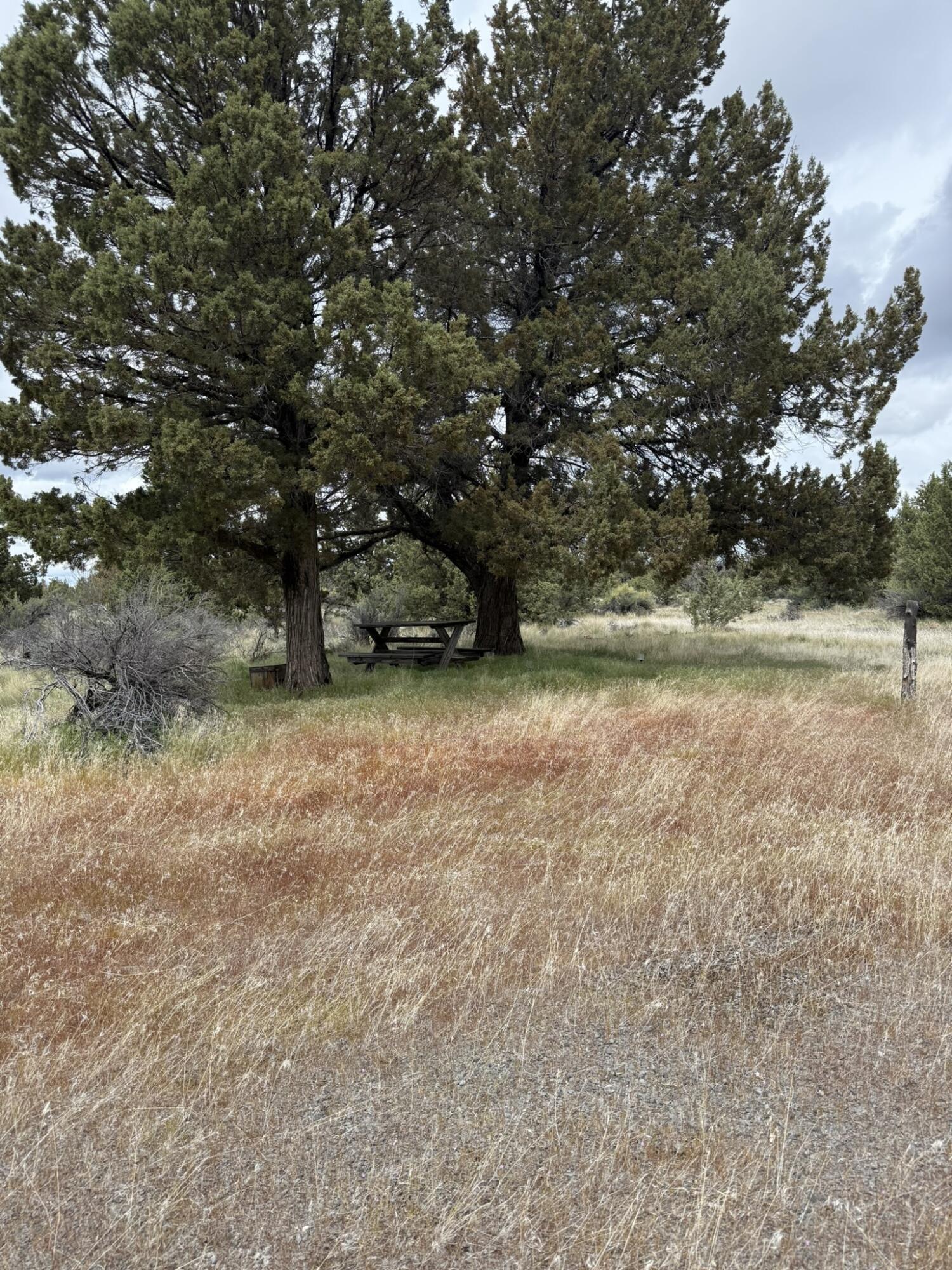 11805 SW Squaw Flat Road 00401