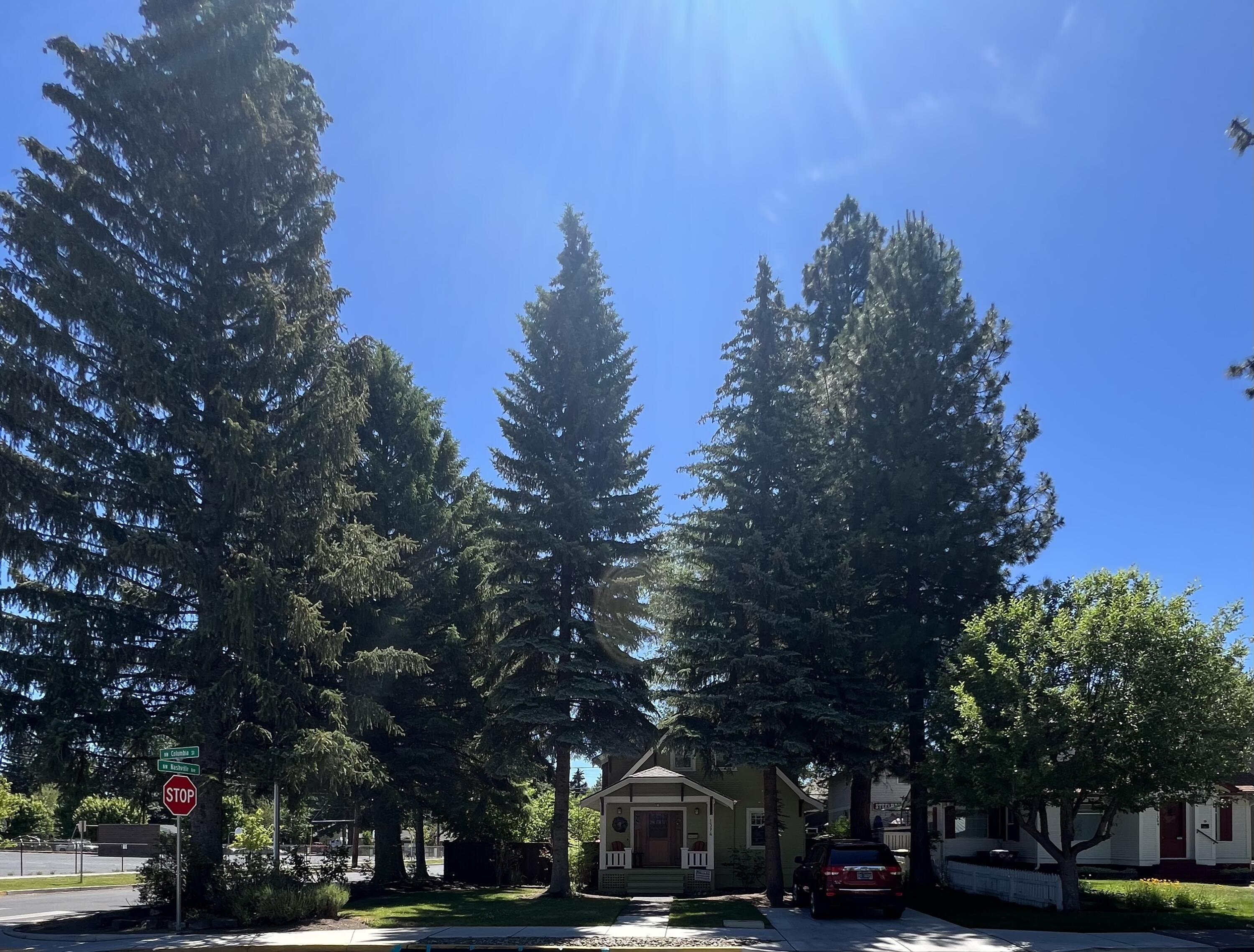 Boulevard - Residential