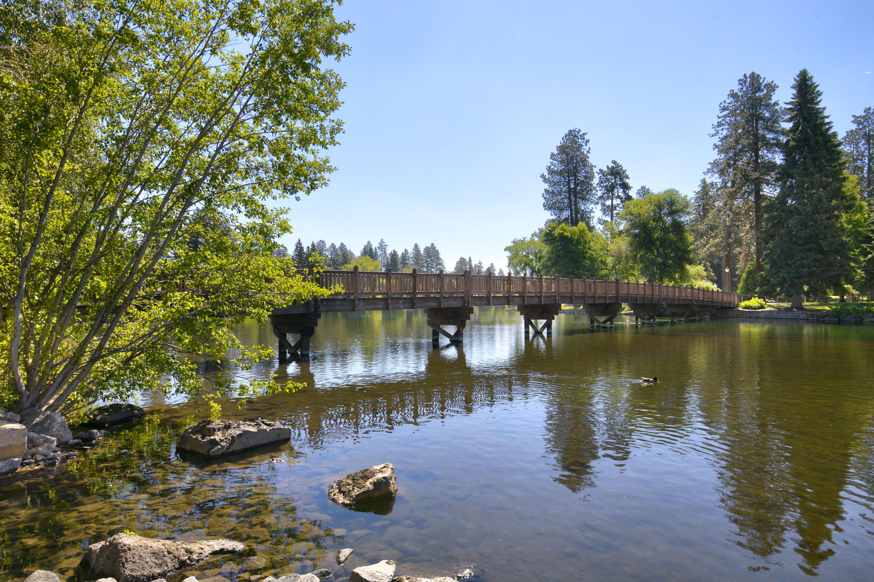 Boulevard - Residential