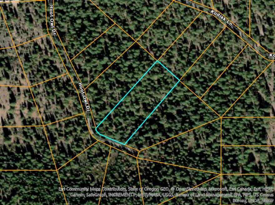 Perfect Mountain retreat. Easy to get to right off Hwy 140 and Kodiak Lot's of outdoor activities to do here. Go to link to get directions. https://goo.gl/maps/8PhkK7jKHm3BYTFo7