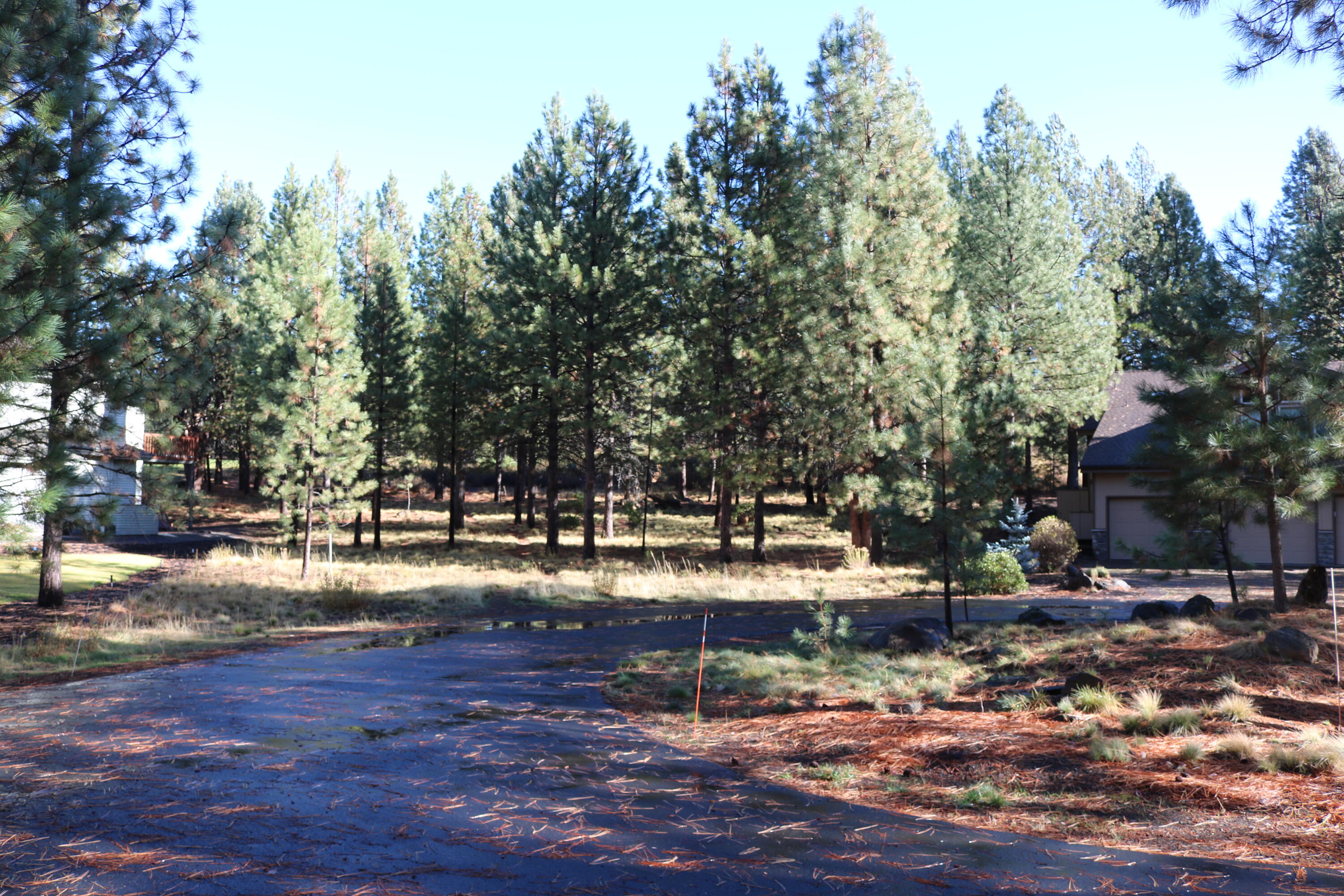 18826 Peony Place