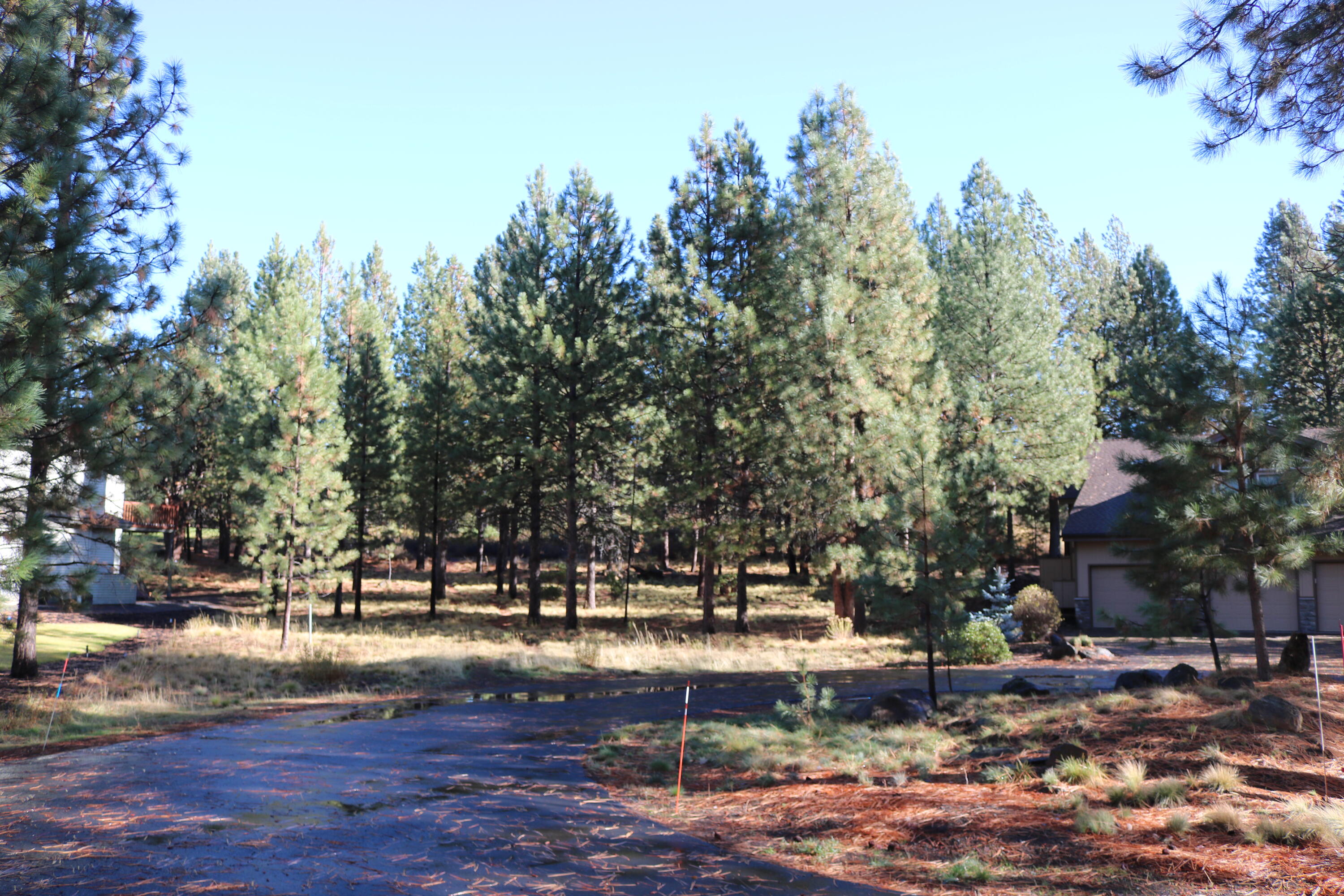 18826 Peony Place