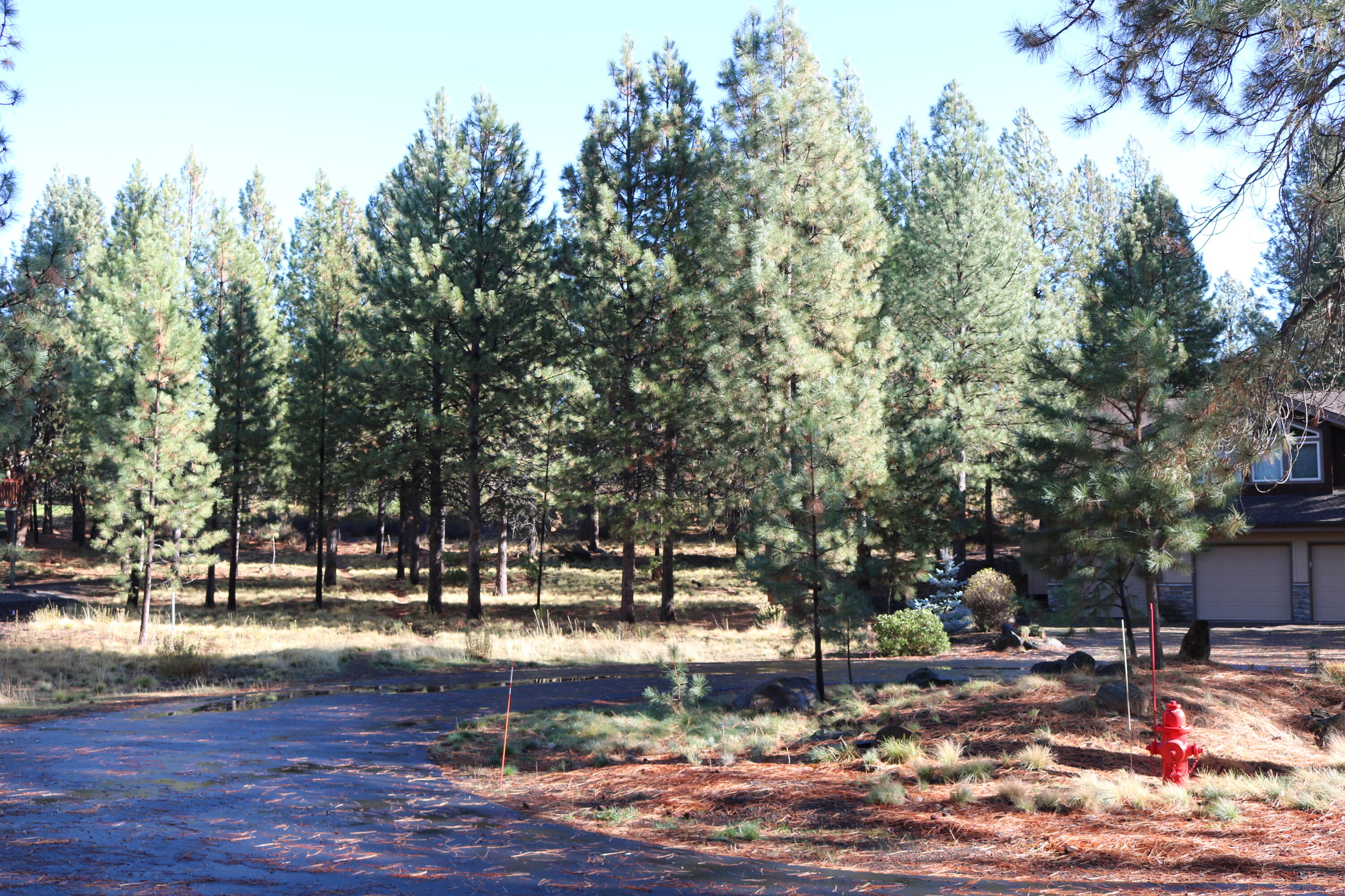 18826 Peony Place