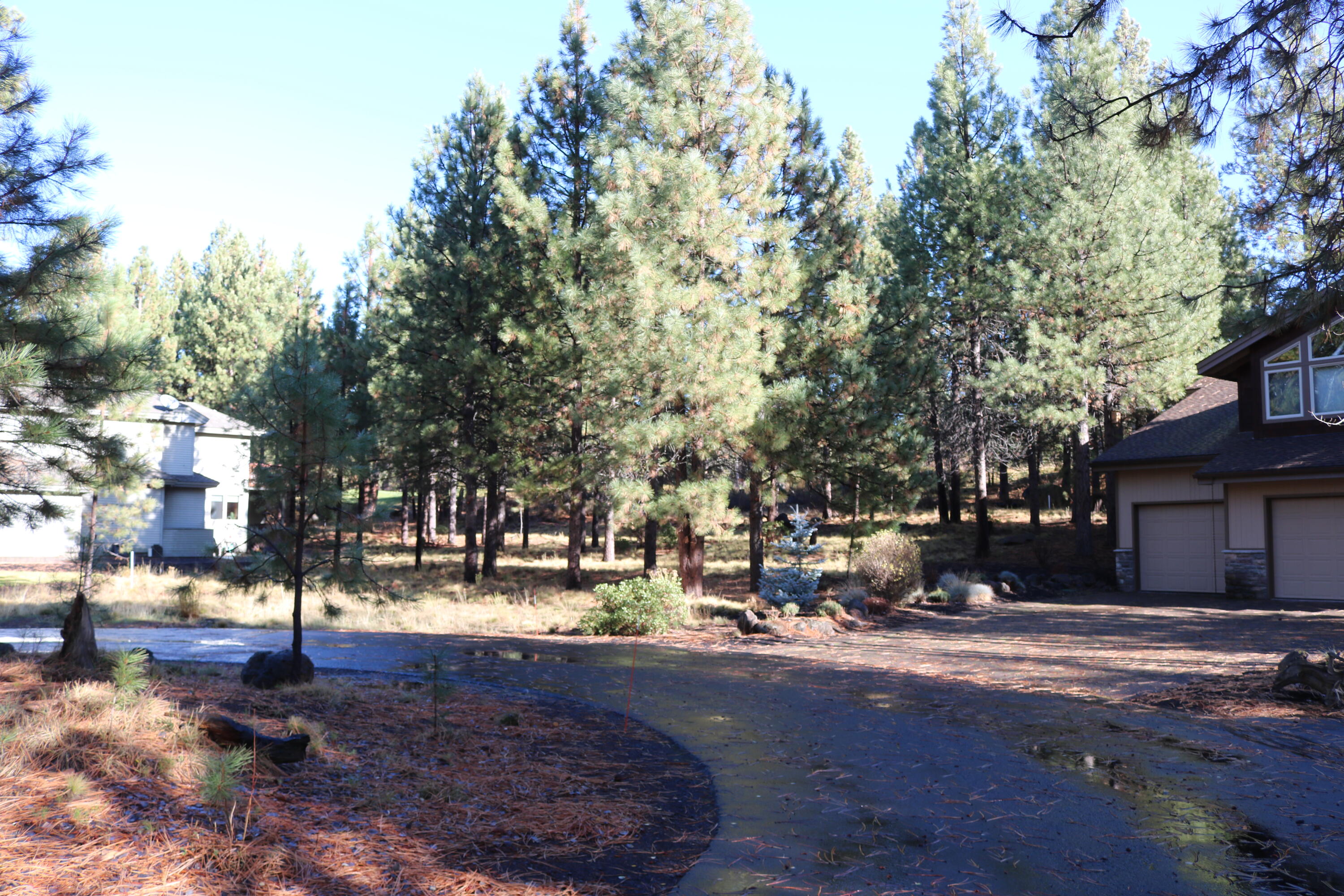 18826 Peony Place