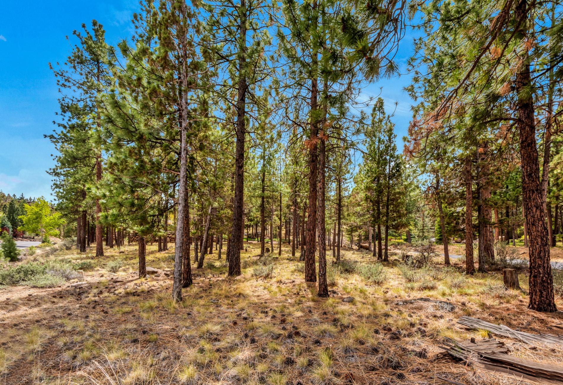 Awbrey Glen - Residential