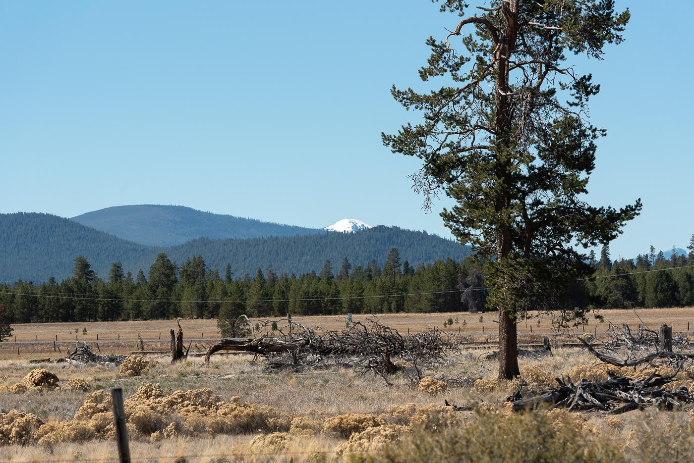 Huntington Meadows - Residential