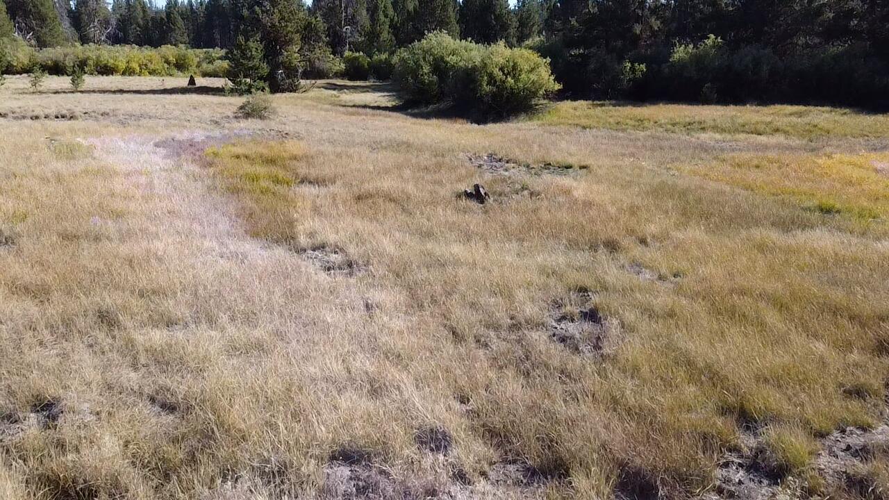 Deschutes River Acre - Land