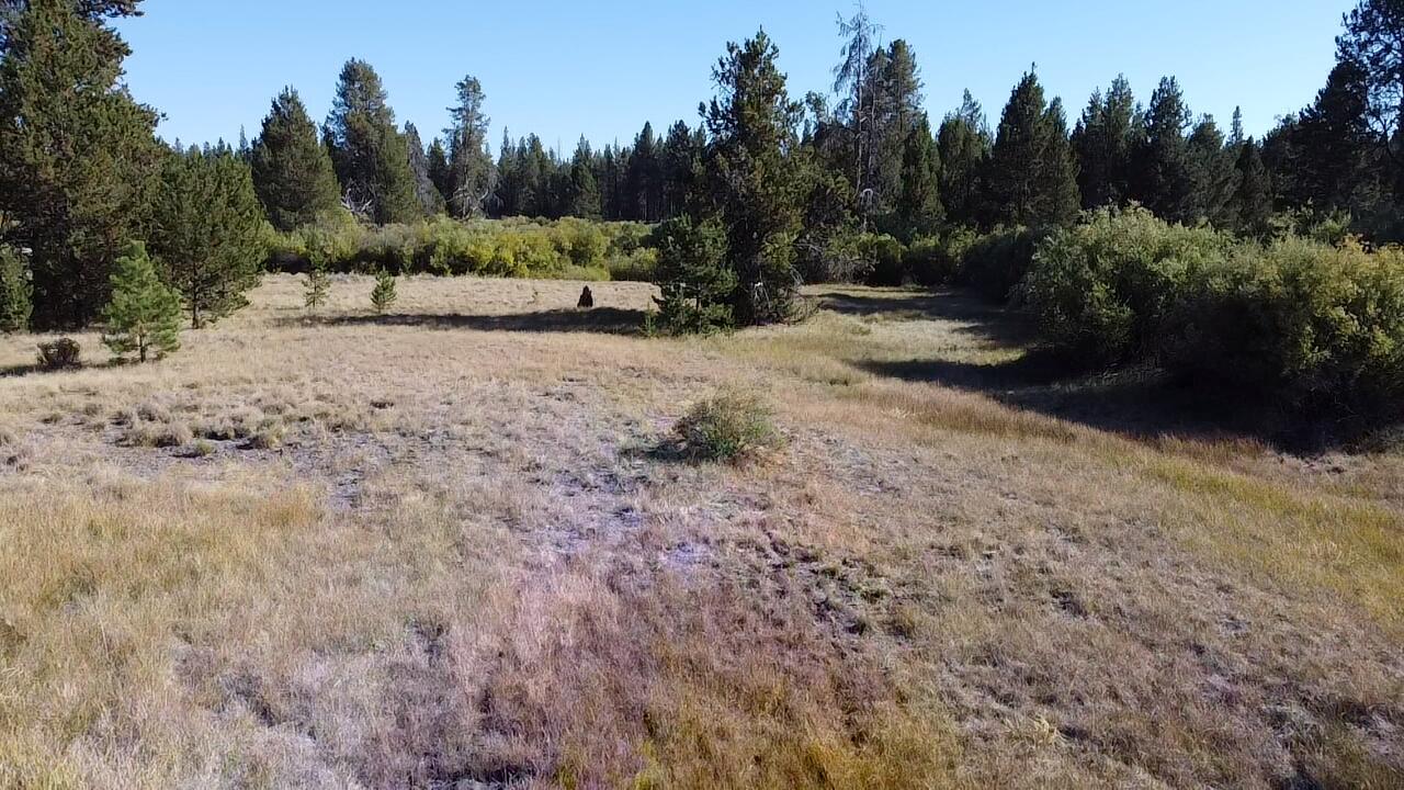 Deschutes River Acre - Land