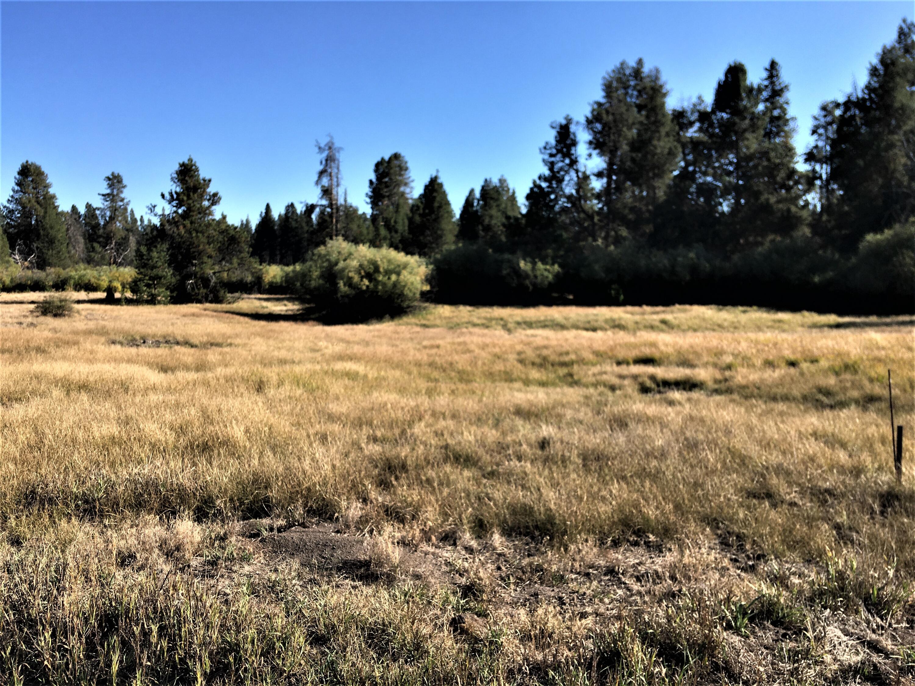 Deschutes River Acre - Land