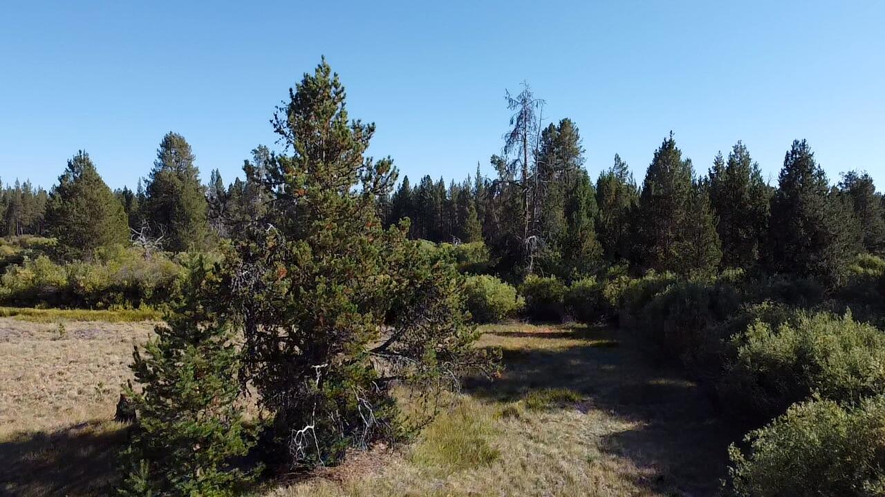 Deschutes River Acre - Land