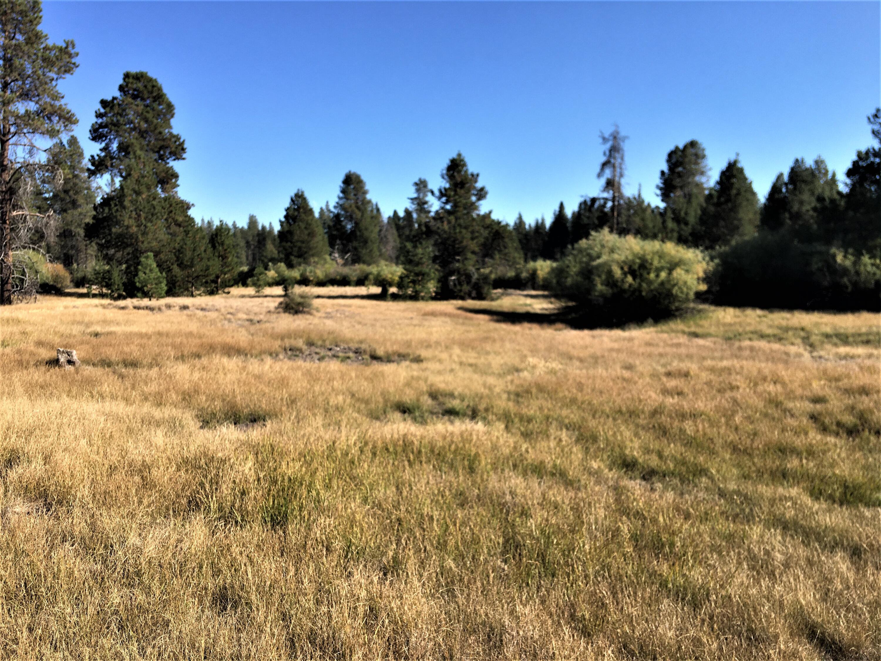 Deschutes River Acre - Land