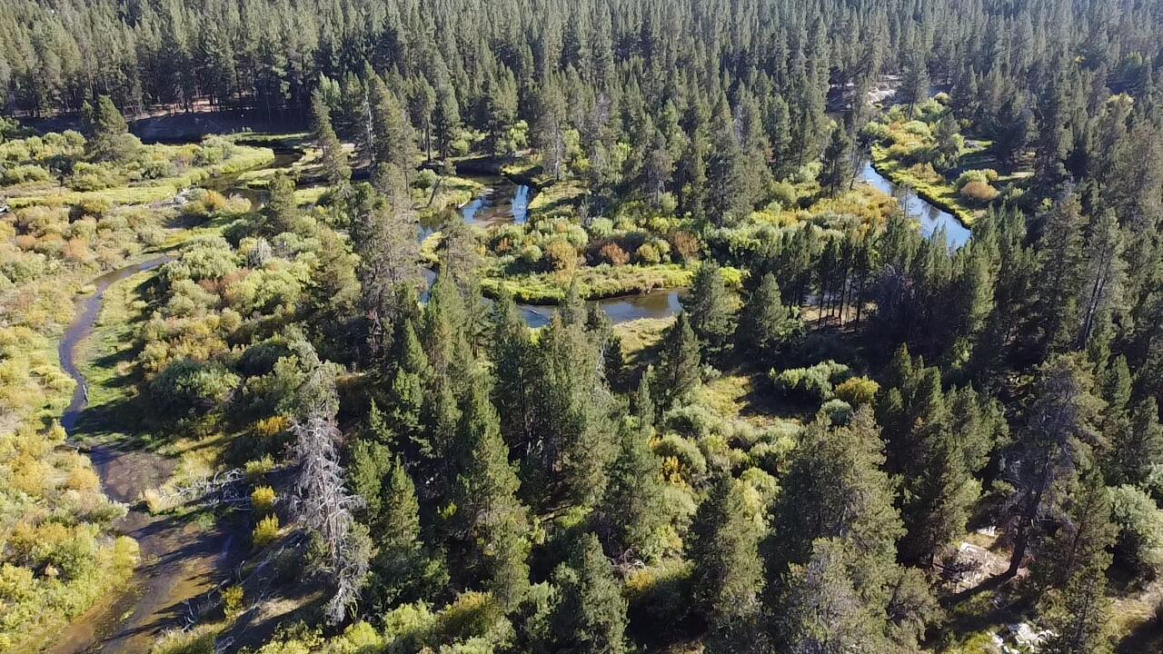 Deschutes River Acre - Land