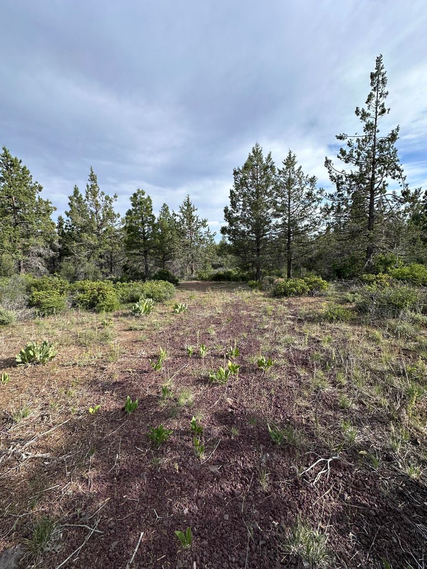 Beautiful 2.31 acre property in Bonanza Oregon. The drive way has been cleared so you can easily drive into the property. There is power at the street. The property is zoned Residential so would be a great place to build a new home!