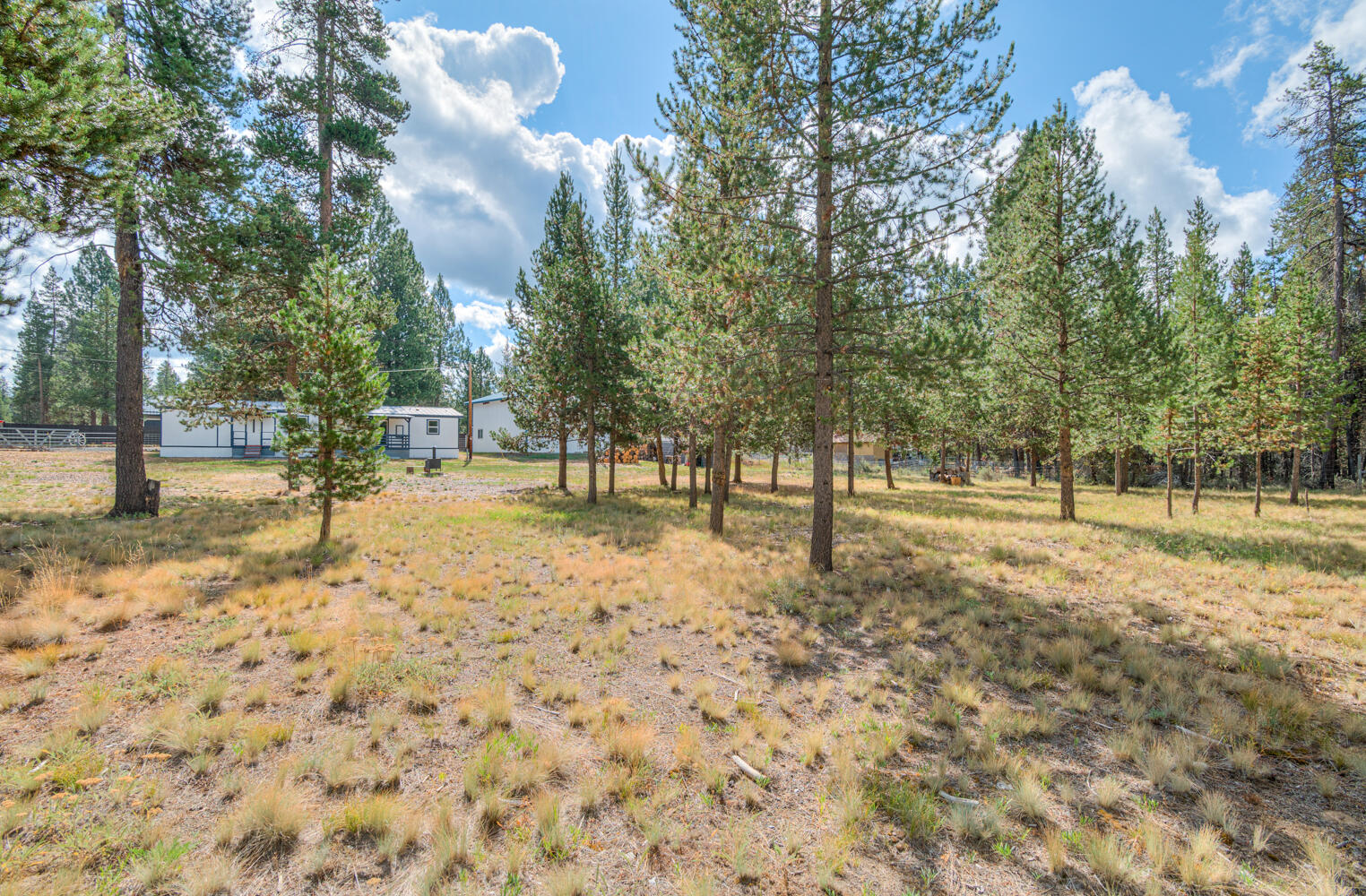 55877 Blue Eagle Road