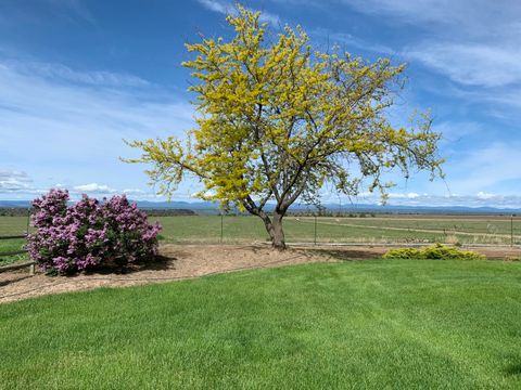 Tiny photo for 2490 NW Deschutes Drive, Madras, OR 97741 (MLS # 220212484)