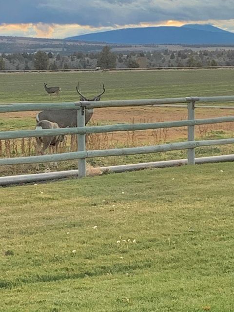 Tiny photo for 2490 NW Deschutes Drive, Madras, OR 97741 (MLS # 220212484)