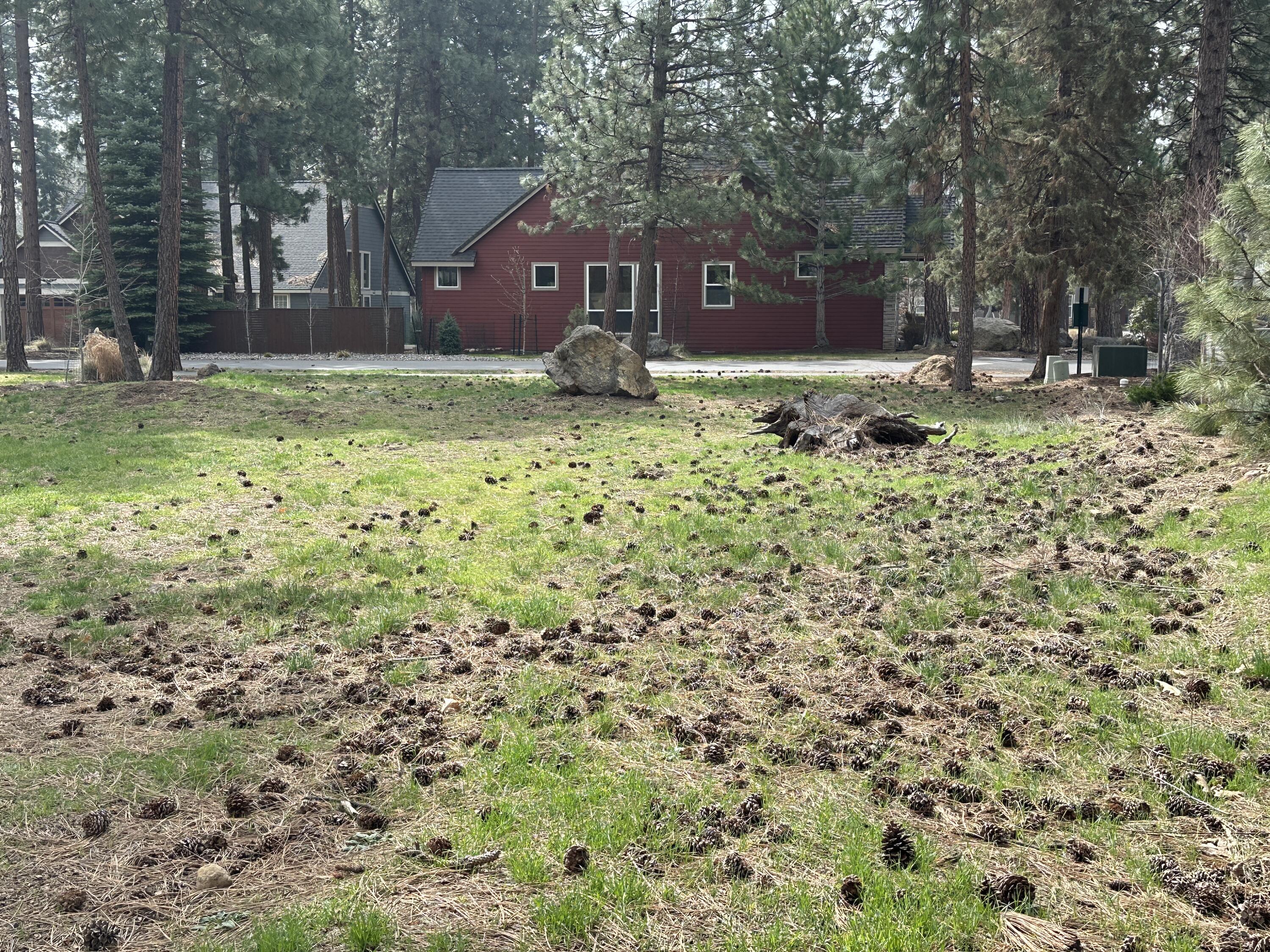 946 E Timber Pine Drive