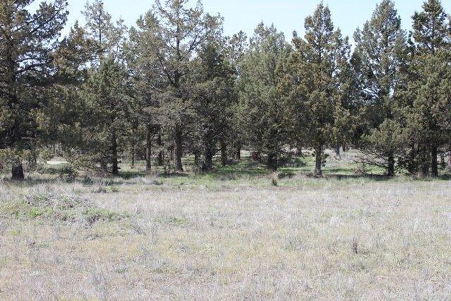 Bring your house plans to this great building site on Bridge Rd. 3 party shared well, approved for a capping fill septic system. nicely treed parcel. There is small storage building on the property