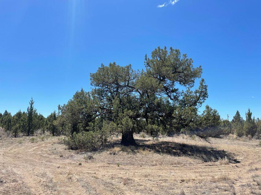 Prineville Acres - Land