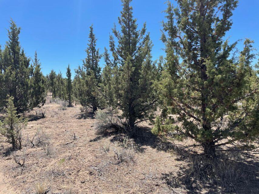 Prineville Acres - Land