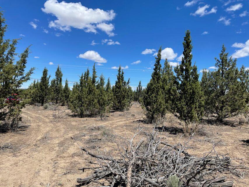 Prineville Acres - Land