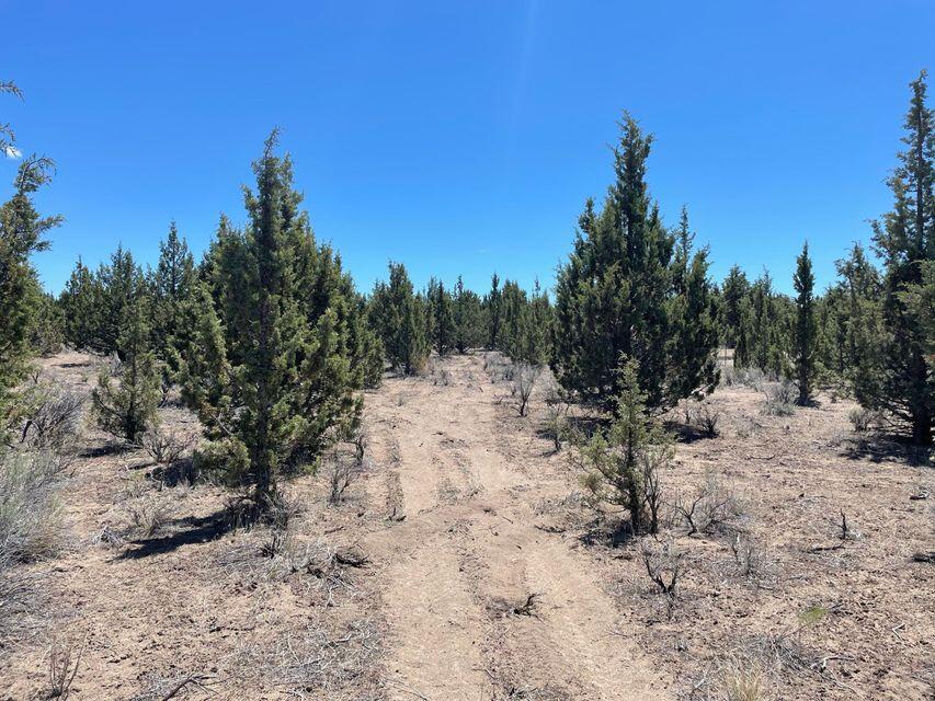 Prineville Acres - Land