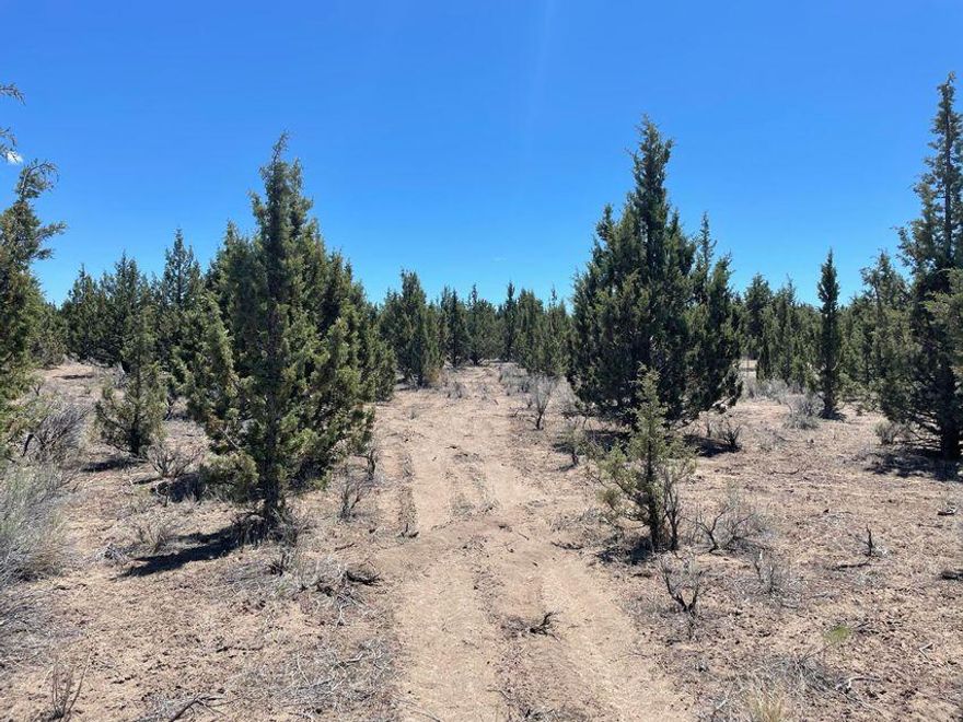 Build your dream home on this 1.91 acre lot in Prineville Lake Acres 2. Close to Prineville Reservoir and only minutes from downtown Prineville. Paved road to the property with power available at the street. This level lot with large trees provides ample space for your toys and privacy to enjoy the best of Central Oregon living. Don't miss out on this opportunity!