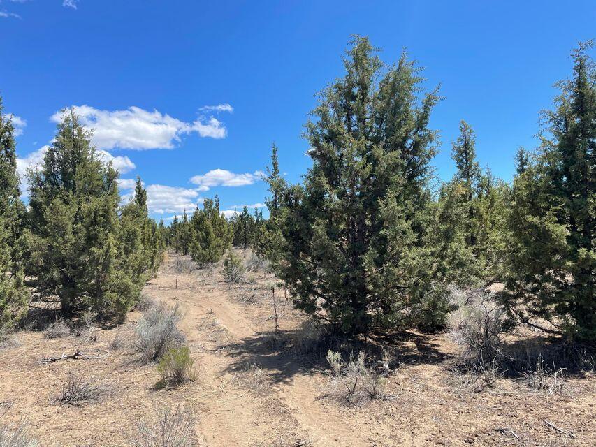 Prineville Acres - Land