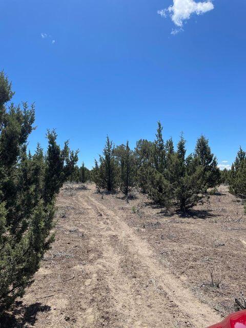 Prineville Acres - Land