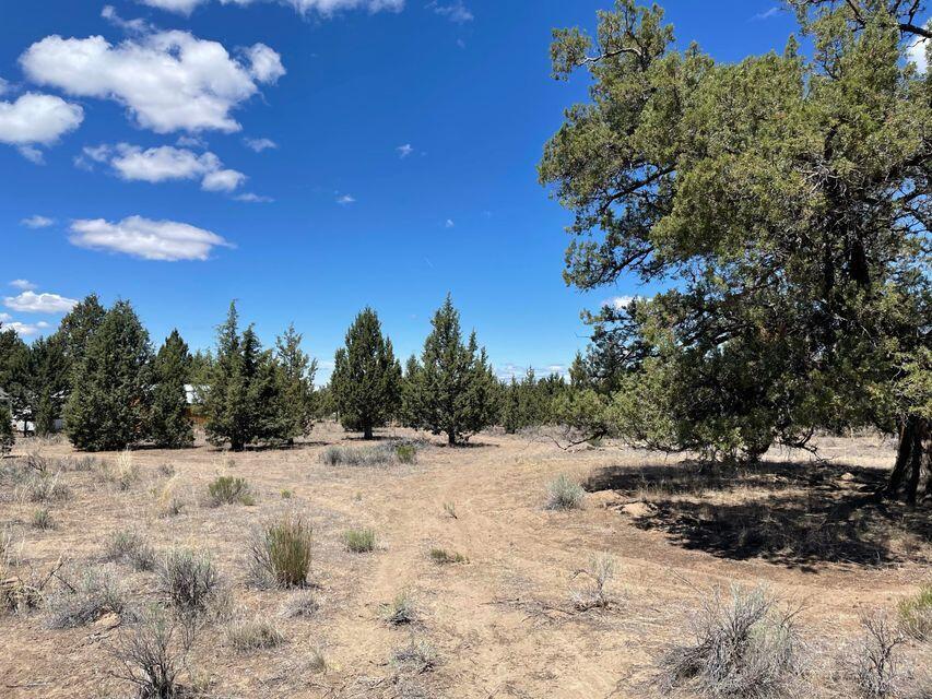 Prineville Acres - Land