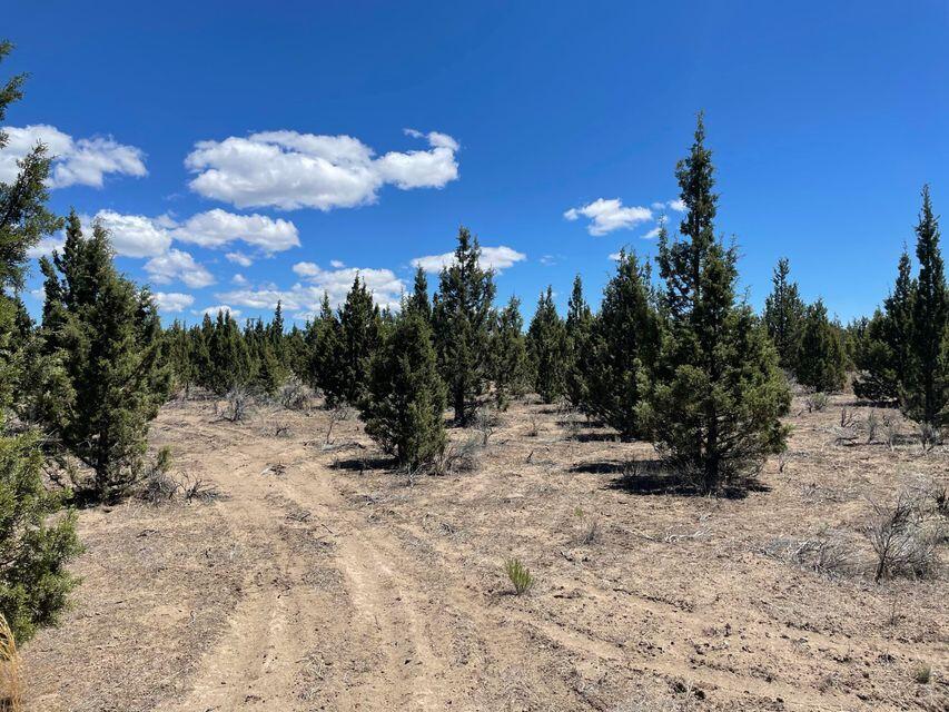 Prineville Acres - Land