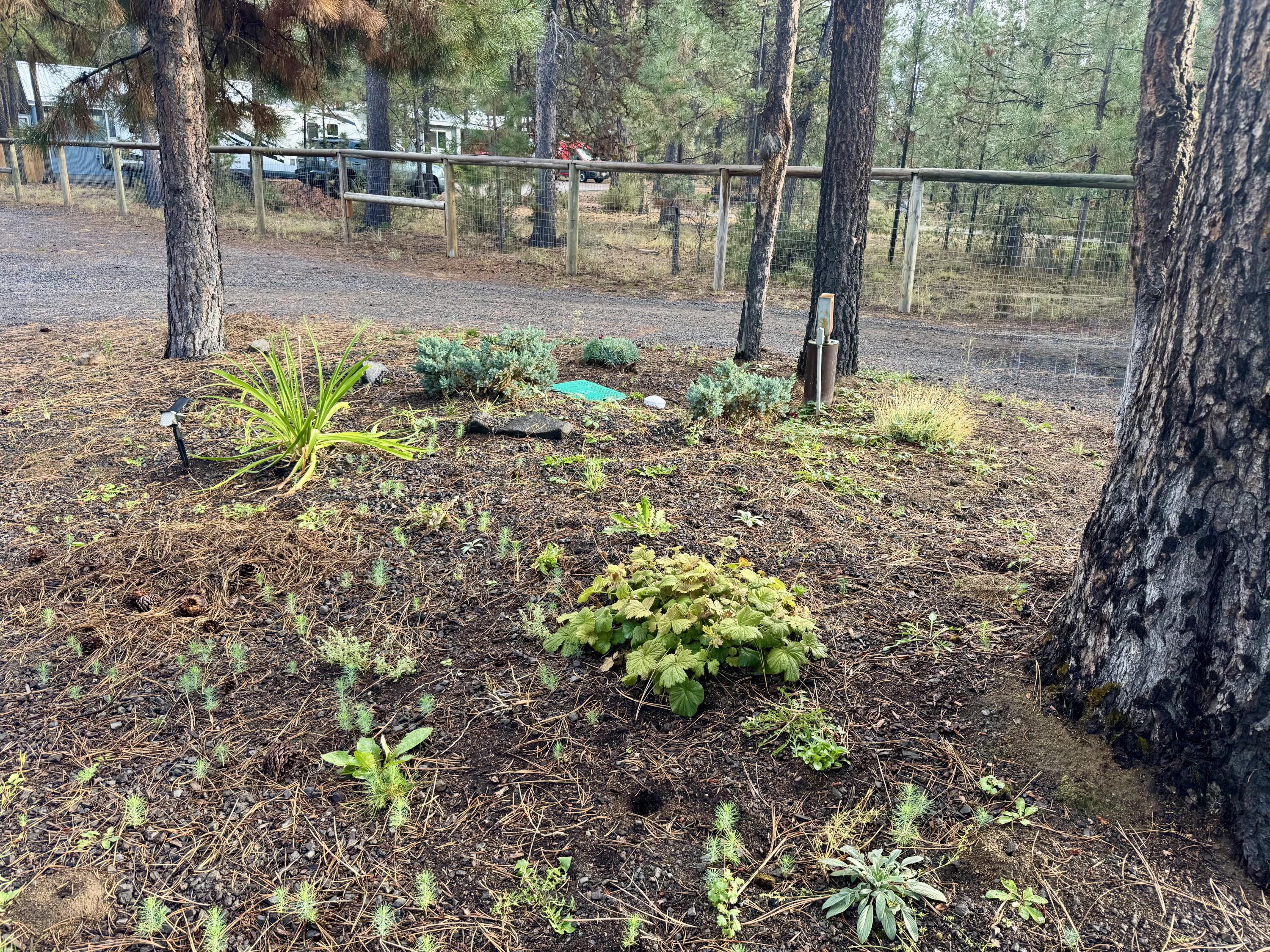 Newberry Estates - Residential