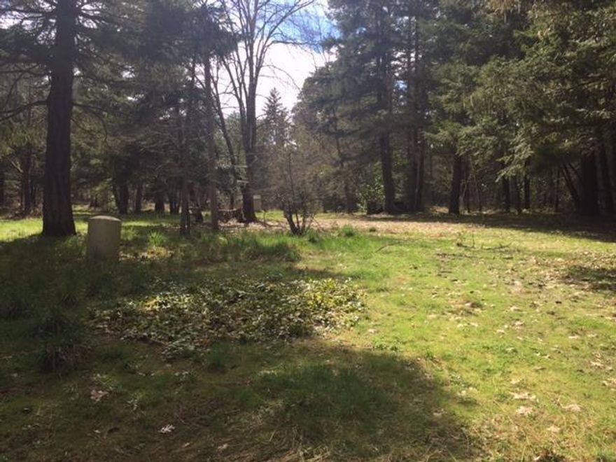 Beautiful 10 acre homesite ready for you to build your dream home. Includes two tax lots with 4 wells, 2 holding tanks, water filtration system, septic, road, and electric already there. This land used to have a mobile, but was removed, so it has a nice level area that is ready for a new home. All information is deemed reliable but not verified; anyone considering purchasing this property should perform their own investigation into the uses and condition of the property.