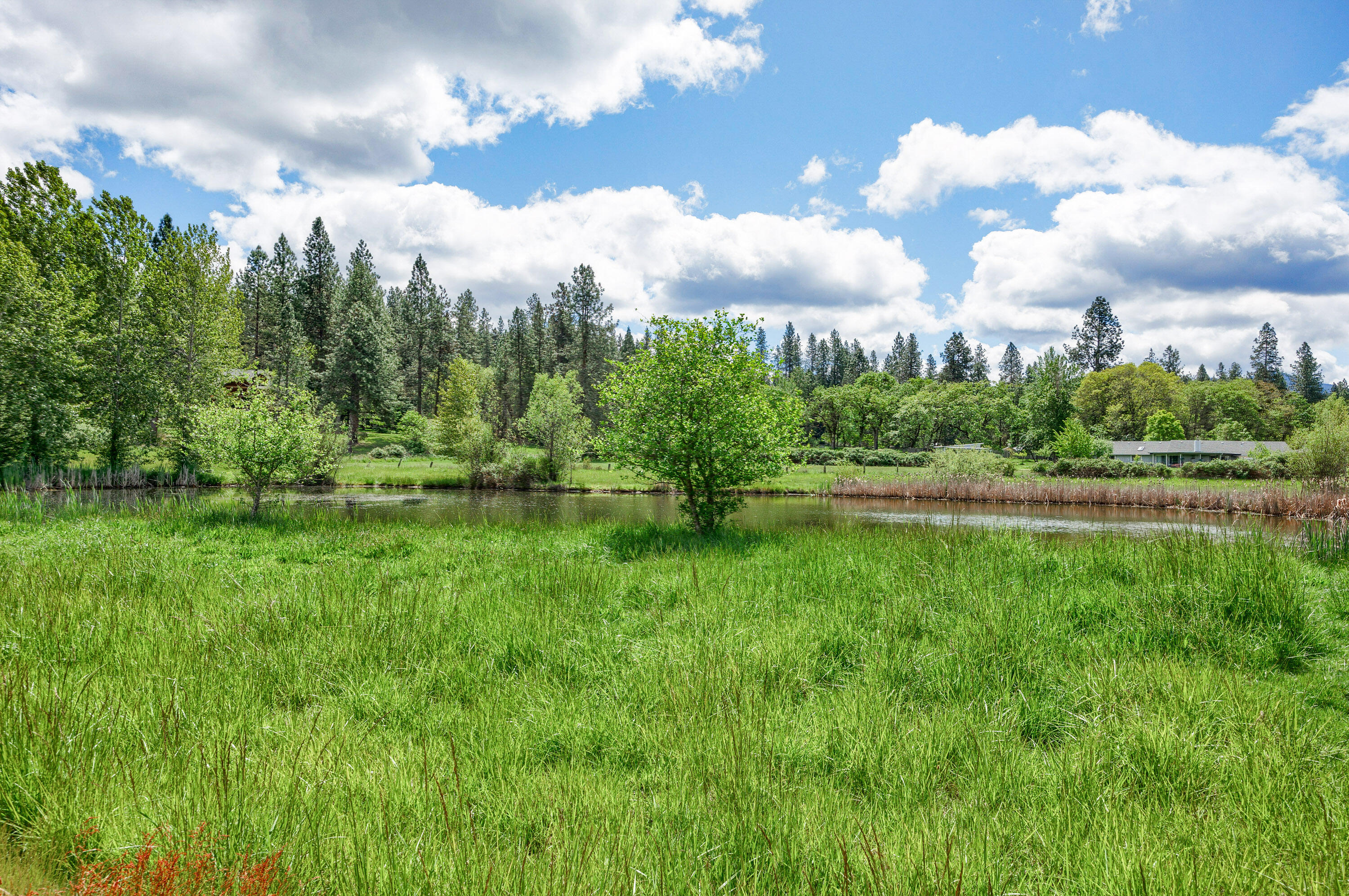 Ponderosa Ridge Estate - Residential