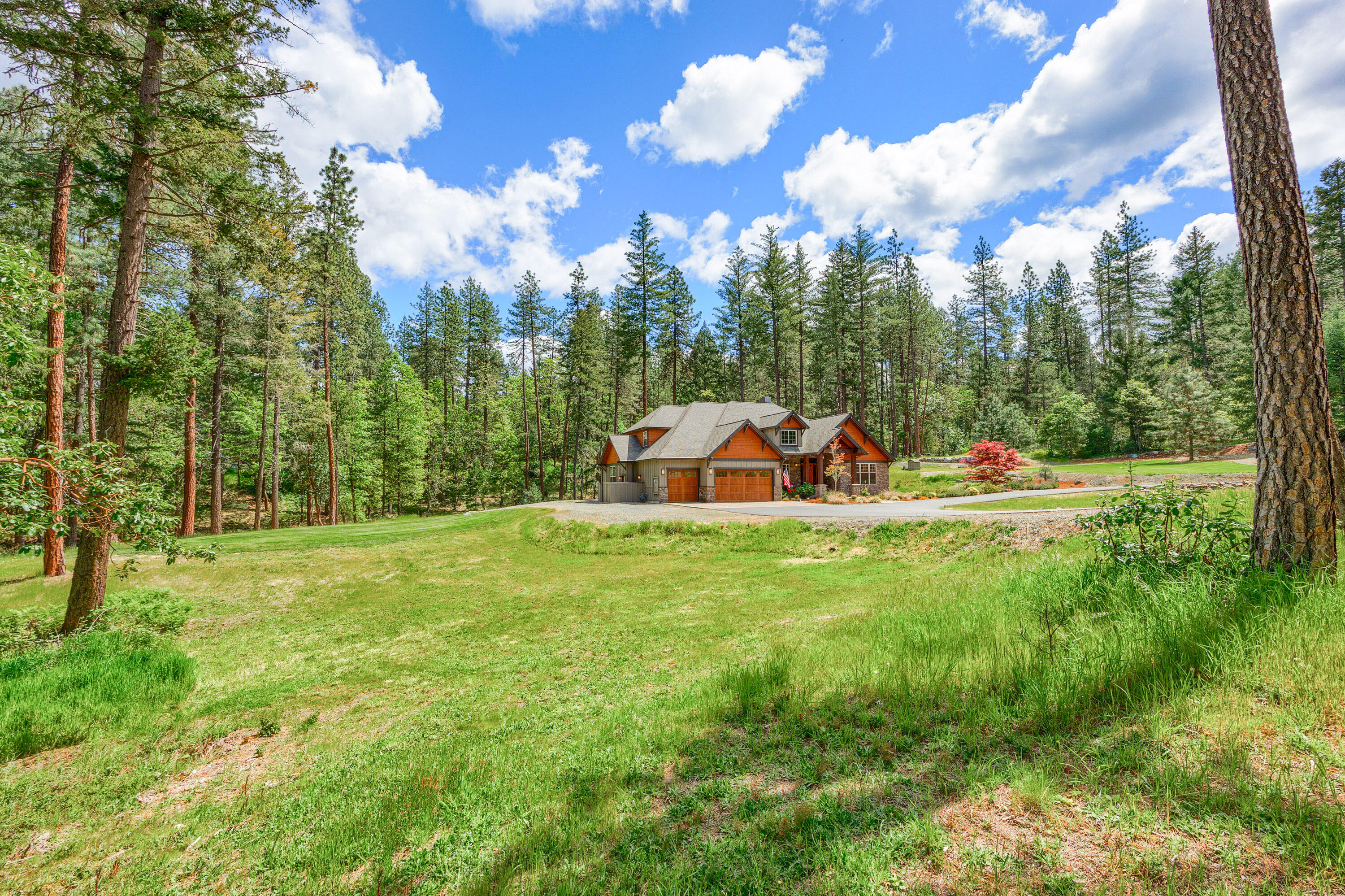 Ponderosa Ridge Estate - Residential