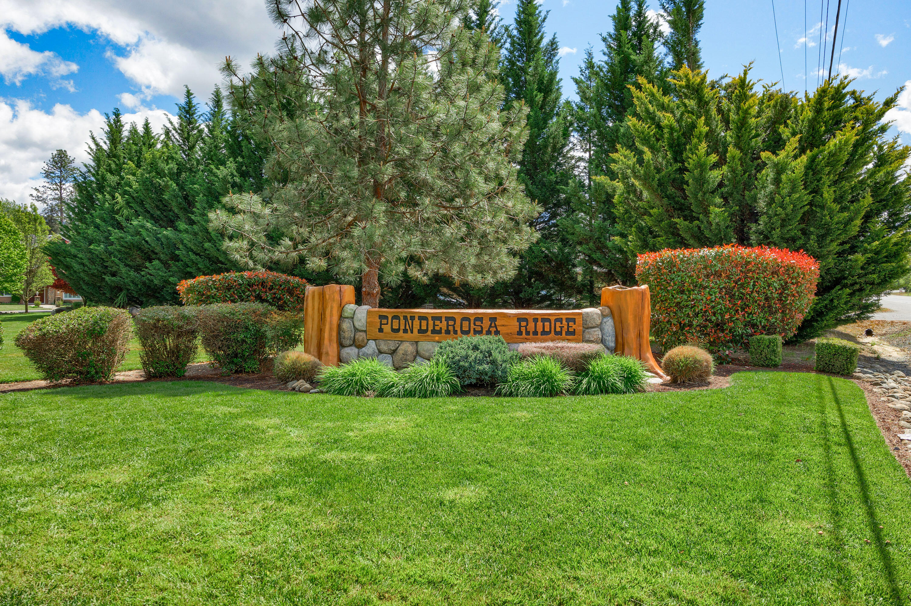 Ponderosa Ridge Estate - Residential