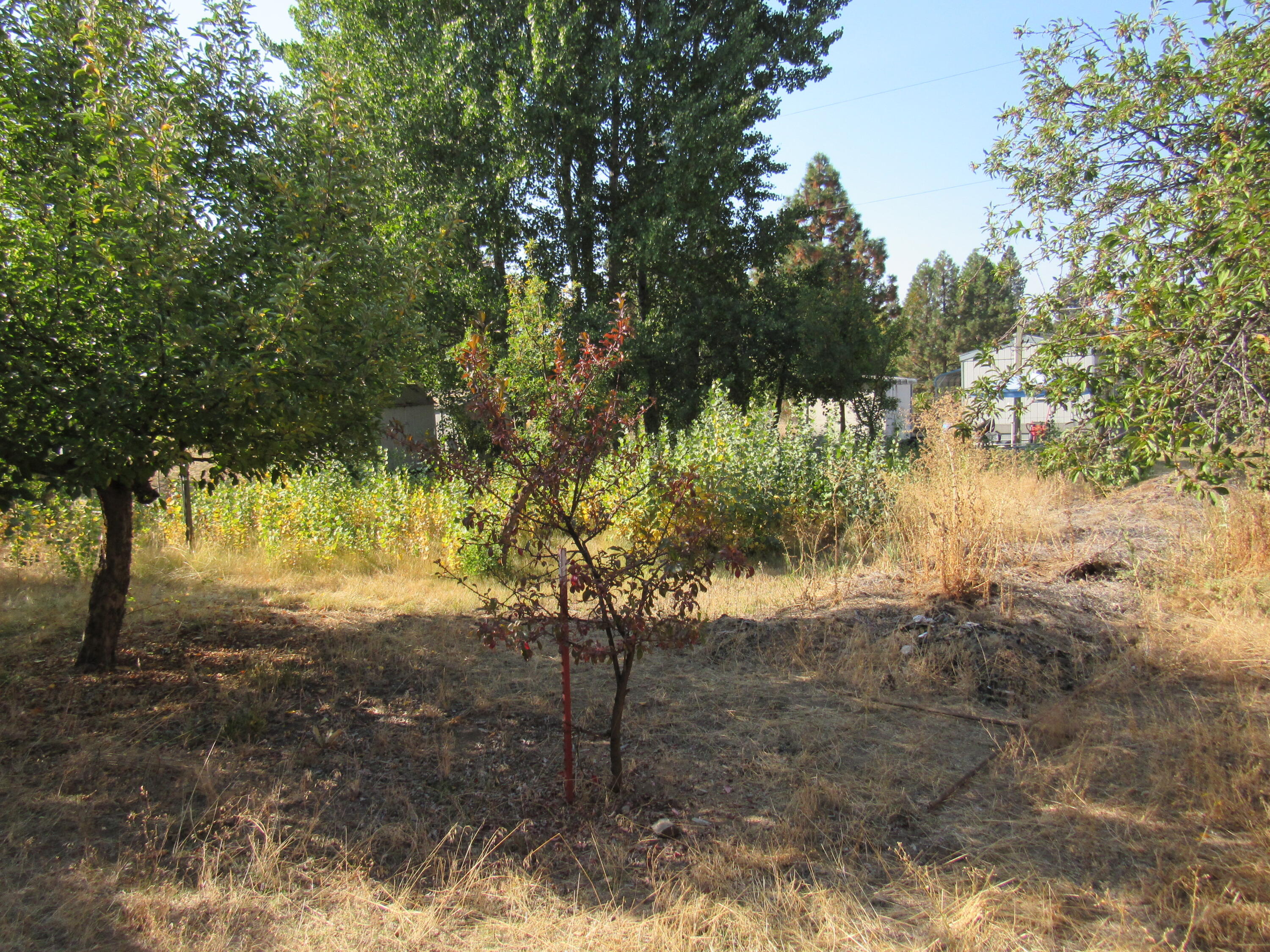 Oregon Shores - Residential