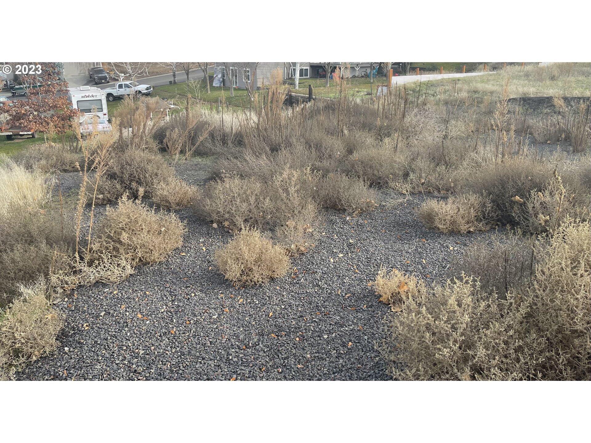 Rice Addition - Land