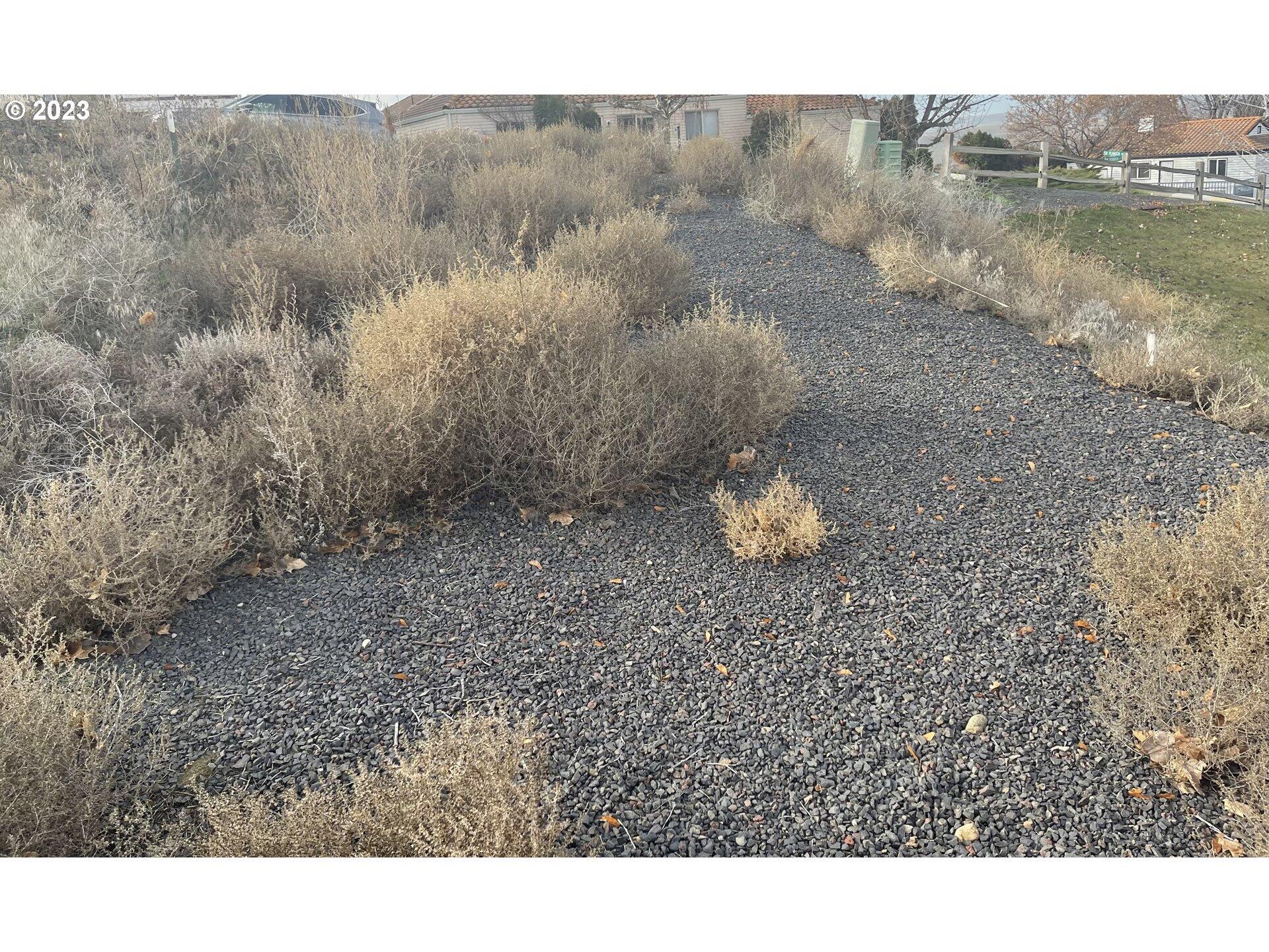 Rice Addition - Land