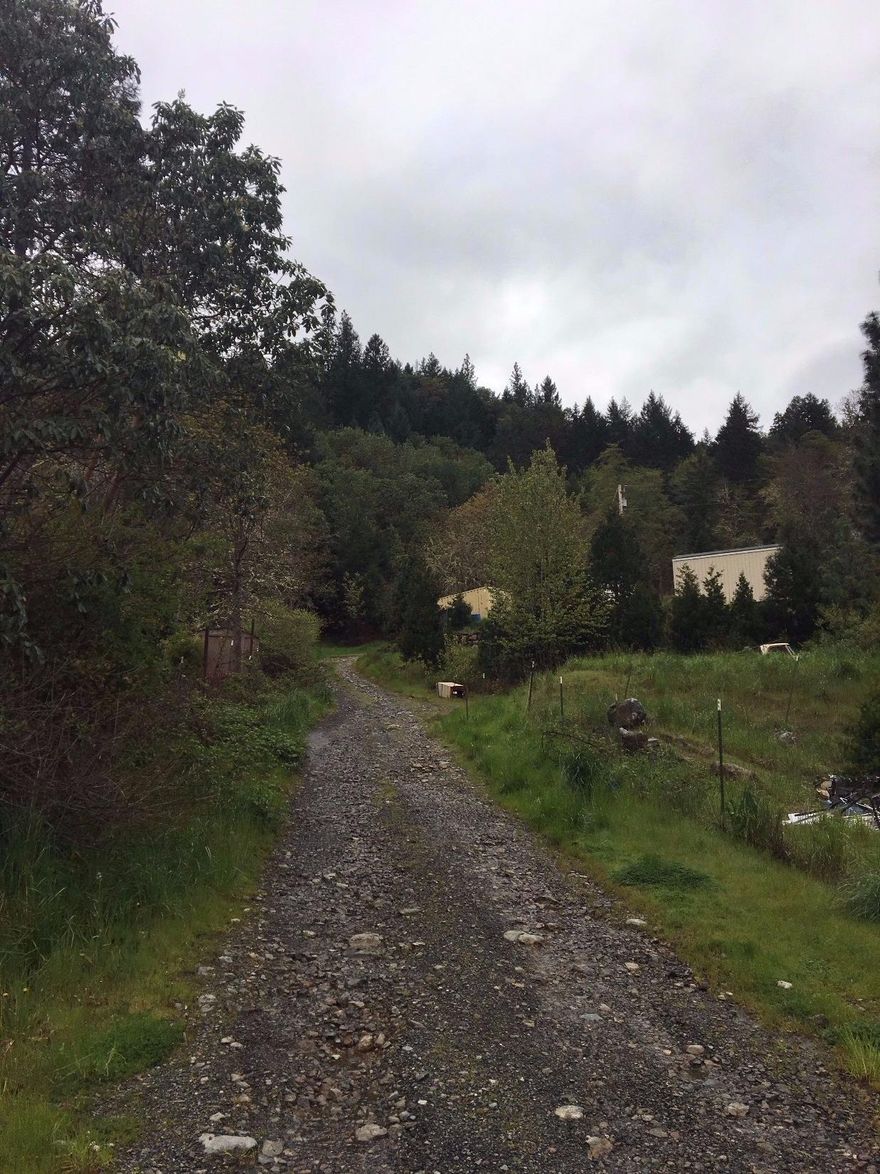 Nice, semi secluded parcel with potential. Well and septic and a seasonal creek that runs through the property give a great start for a homesite/garden. Property has a 10x20 foot wooden shed in excellent shape and a 8x20 foot container, all insulated with power plus a travel trailer to boot! Road paved up to the gravel drive to the property. Nice views from possible home site. OMMP licenses to be conveyed with sale.