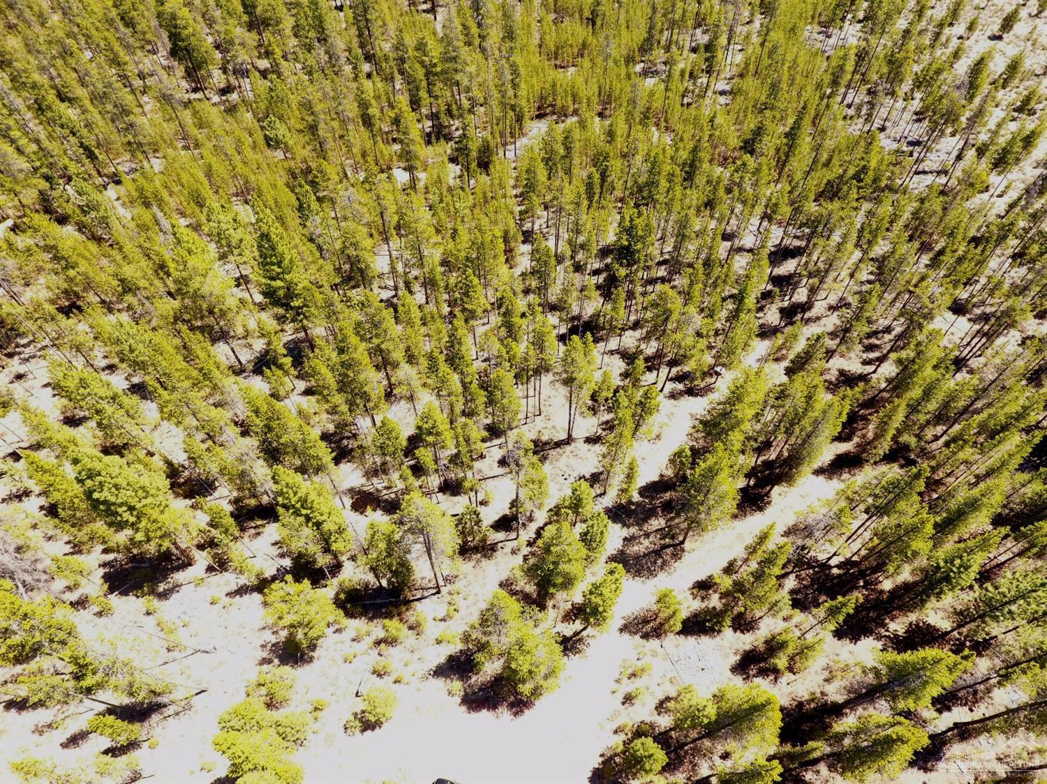 Wagon Trail Acreages - Land