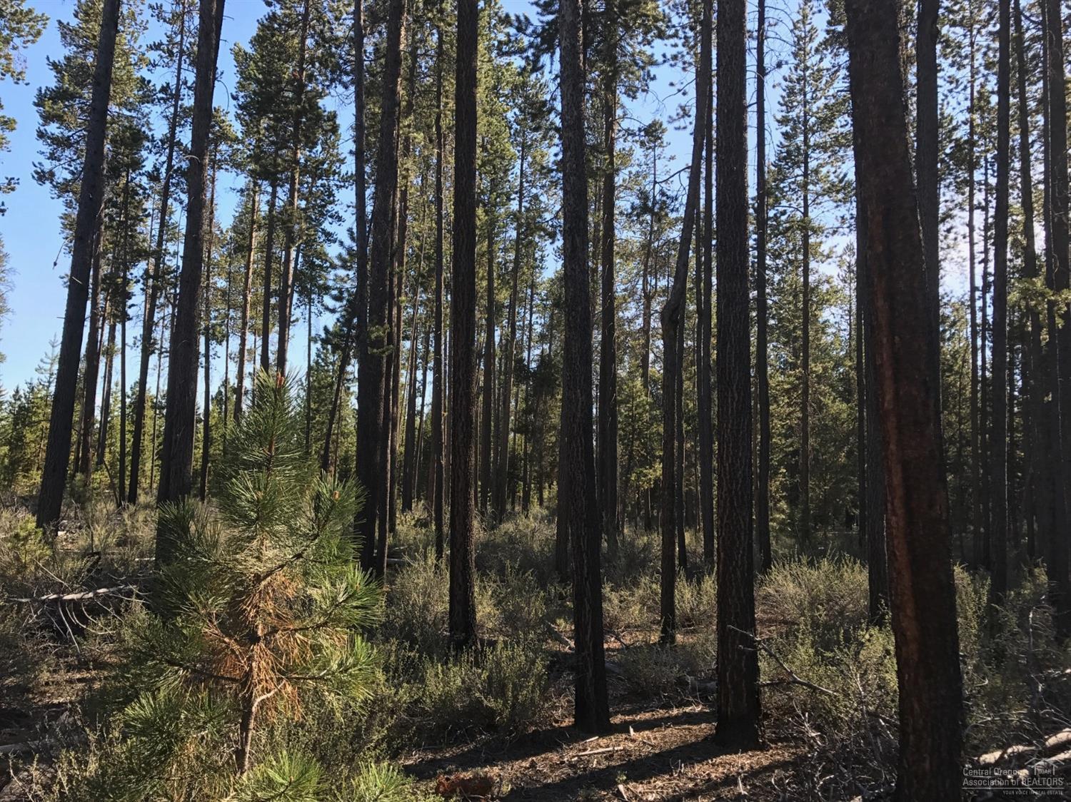 Wagon Trail Acreages - Land