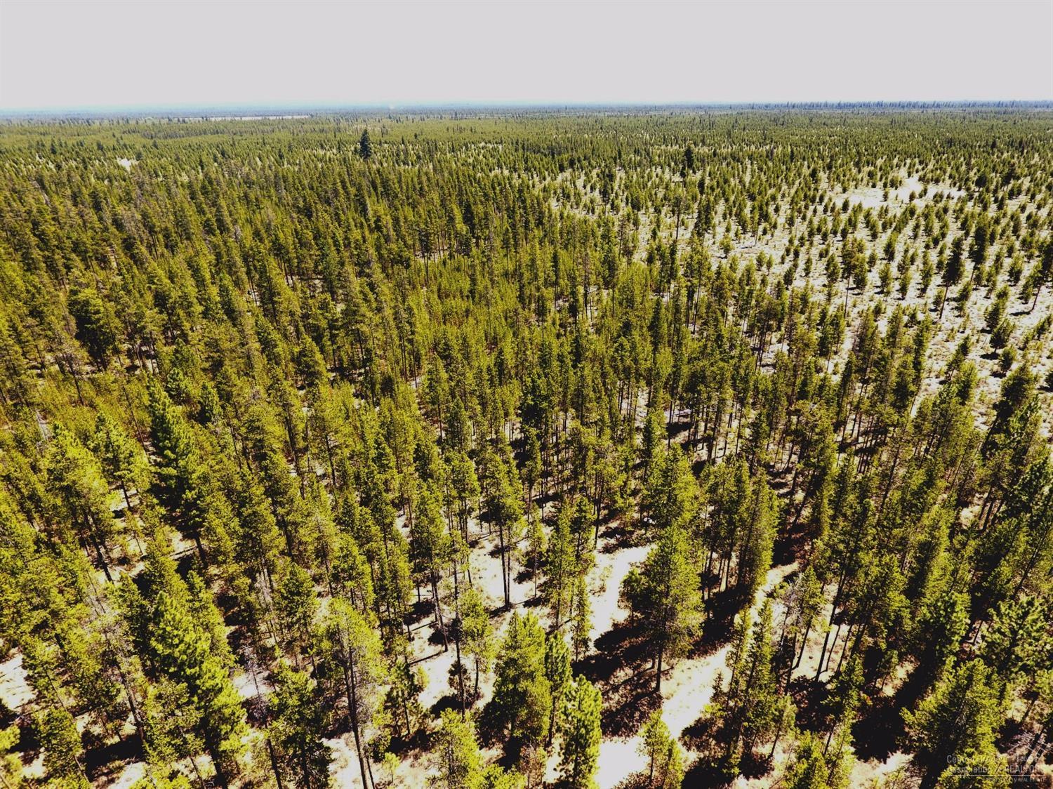 Wagon Trail Acreages - Land