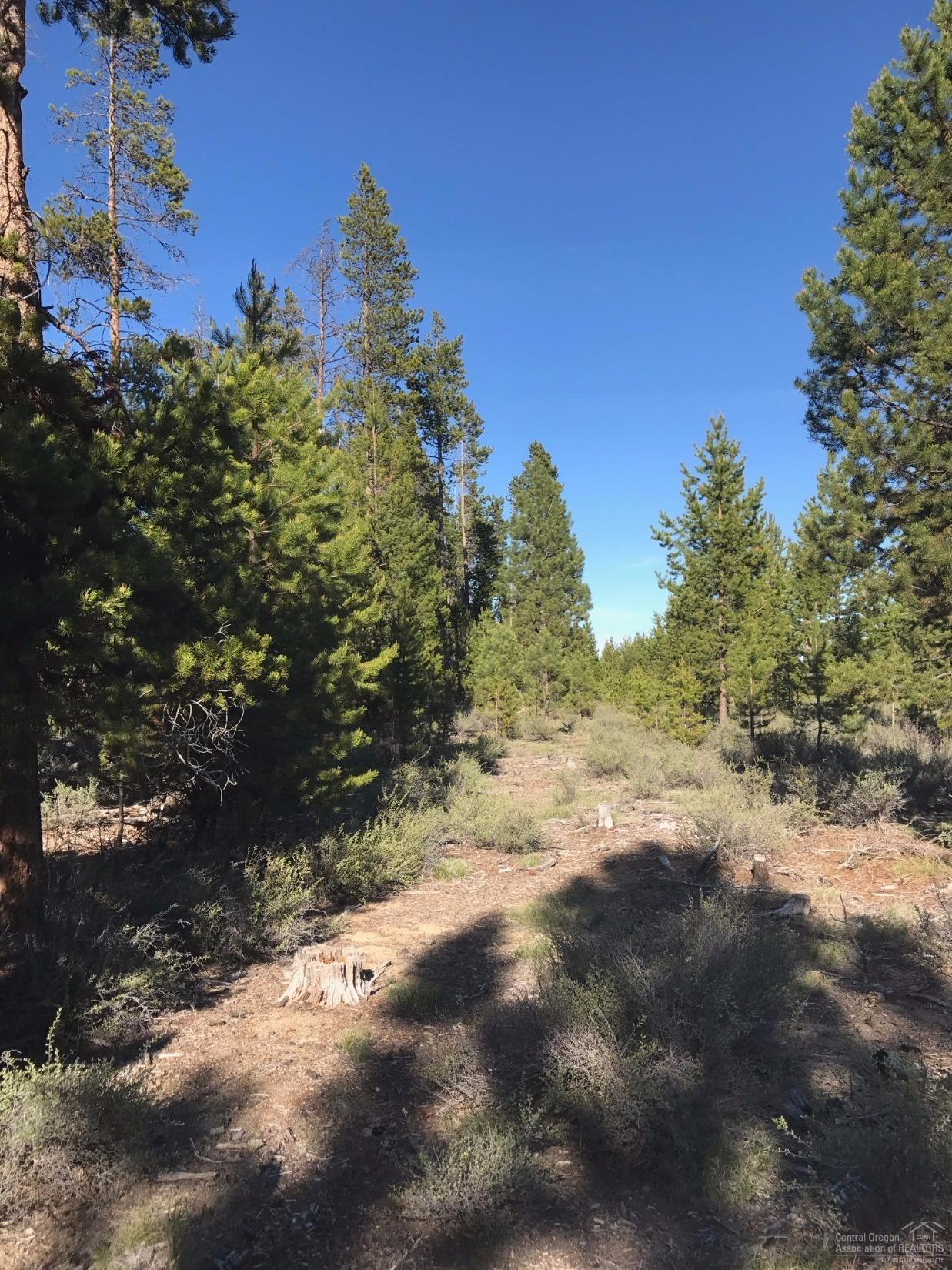 Wagon Trail Acreages - Land