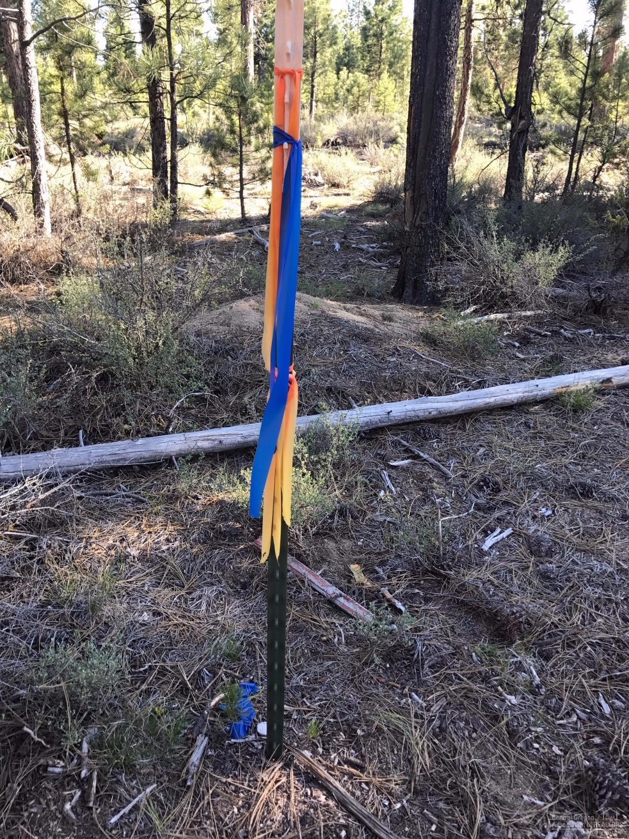 Wagon Trail Acreages - Land