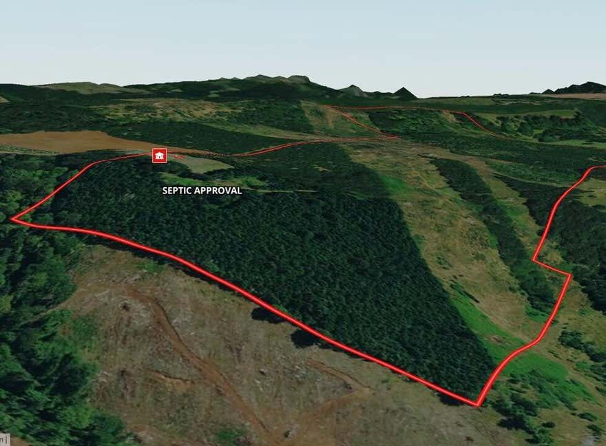 Buildable 114 ac of Great timber, Christmas tree, farming & ranching property with fantastic valley views.  Septic approval & the home site sits at the end of a long-private easement with potential for valley views.  The entire property is easily managed w/ a good road system.  A healthy 25-30 year old 66 ac stand of Douglas Fir will be ready for a thinning soon. The Jory & Nekia soils have supported a variety of farming & ranching operations in the past.