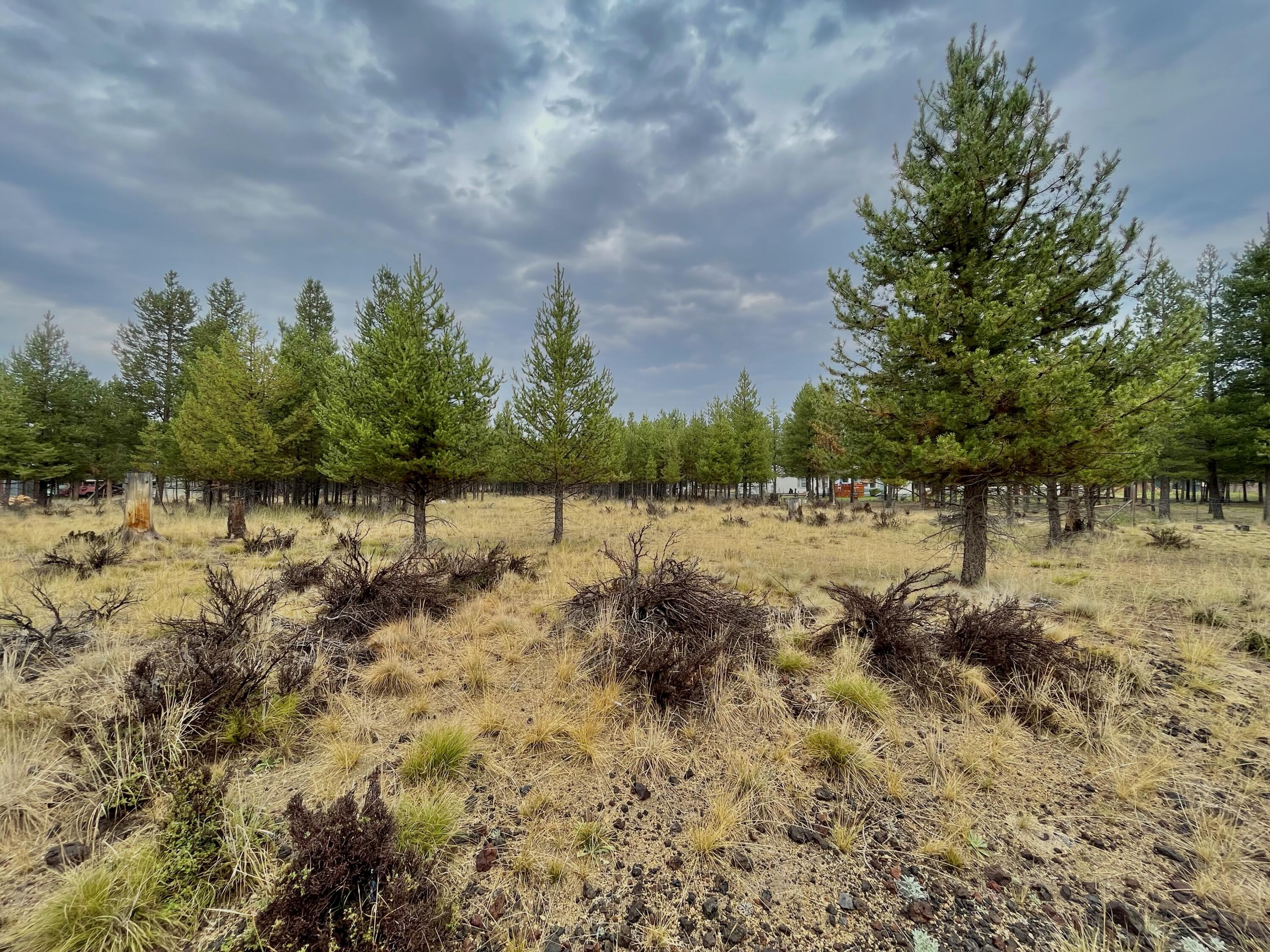 TL 4900 Larchwood Drive